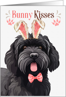 Easter Bunny Kisses Black Russian Terrier Dog in Bunny Ears card