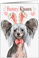 Easter Bunny Kisses Chinese Crested Dog in Bunny Ears card