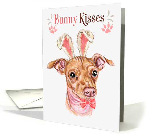Easter Bunny Kisses Chiweenie Dog in Bunny Ears card (1757908)