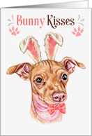 Easter Bunny Kisses...