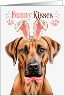 Easter Bunny Kisses Rhodesian Ridgeback Dog in Bunny Ears card
