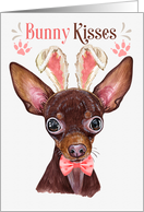 Easter Bunny Kisses Russian Toy Terrier Dog in Bunny Ears card