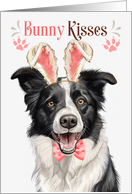 Easter Bunny Kisses Border Collie Dog in Bunny Ears card