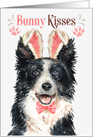 Easter Bunny Kisses Border Collie Dog in Bunny Ears card