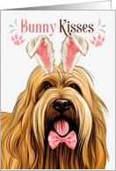 Easter Bunny Kisses Briard Dog in Bunny Ears card