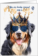Birthday Bernese Mountain Dog Funny King for a Day card