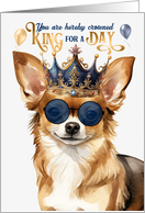 Birthday Long Haired Chihuahua Dog Funny King for a Day card