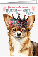 Birthday Long Haired Chihuahua Dog Funny Queen for a Day card