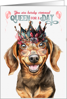 Birthday Dachshund Dog Funny Queen for a Day card