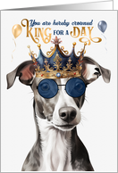 Birthday Greyhound Dog Funny King for a Day card