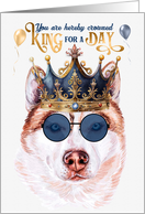 Birthday Red Husky Dog Funny King for a Day card