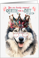 Birthday Happy Malamute Dog Funny Queen for a Day card