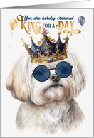 Birthday Happy Maltese Dog Funny King for a Day card