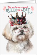 Birthday Happy Maltese Dog Funny Queen for a Day card