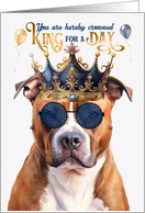 Birthday Tan Pitbull Staffordshire Dog Funny King for a Day card