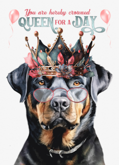 Birthday Rottweiler...