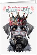 Birthday Giant Schnuazer Dog Funny Queen for a Day card