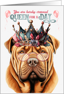 Birthday Shar Pei...