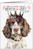 Birthday English Springer Dog Funny Queen for a Day card