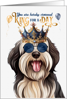 Birthday Tibetan Terrier Dog Funny King for a Day card
