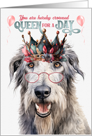 Birthday Irish Wolfhound Dog Funny Queen for a Day card