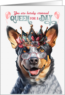 Birthday Australian Cattle Dog Funny Queen for a Day card