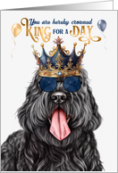 Birthday Black Russian Terrier Dog Funny King for a Day card