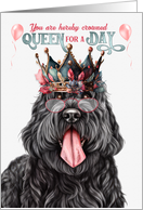 Birthday Black Russian Terrier Dog Funny Queen for a Day card