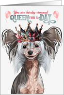 Birthday Chinese Crested Dog Funny Queen for a Day card