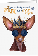 Birthday Russian Toy Terrier Dog Funny King for a Day card