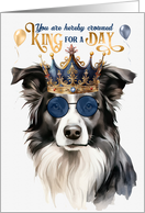 Birthday Border Collie Dog Funny King for a Day card
