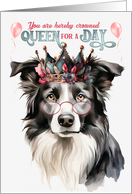 Birthday Border Collie Dog Funny Queen for a Day card