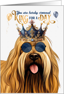 Birthday Briard Dog Funny King for a Day card