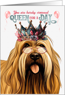 Birthday Briard Dog Funny Queen for a Day card