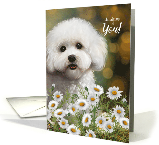 Bichon Frise Dog Thinking of You Daisies and Bokeh Background card