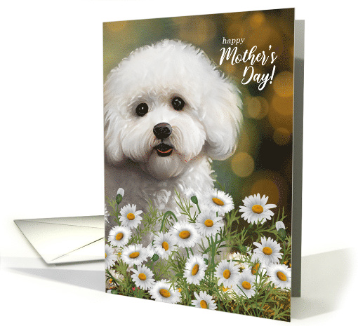 Mother's Day Bichon Frise Dog Mom Daisies and Bokeh Background card