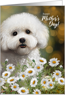 Mother's Day Bichon...
