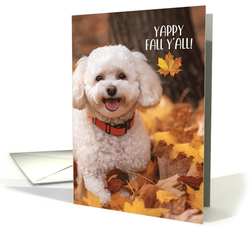 Thanksgiving Bichon Frise Dog with Autumn Leaves card (1776614)