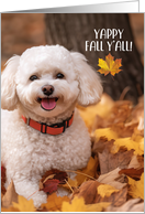 Thanksgiving Bichon Frise Dog with Autumn Leaves card