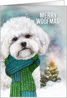 Volunteer Merry Woofmas Bichon Frise Dog in a Winter Scarf card