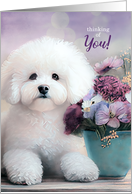 Thinking of You Bichon Frise Dog with Purple Flowers in a Pot card