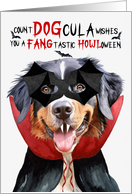 Bernese Mountain Dog Funny Halloween Count DOGcula card