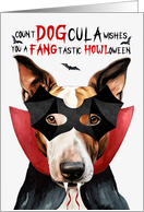 Bull Terrier Dog Funny Halloween Count DOGcula card