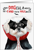 Maltese Dog Funny Halloween Count DOGcula card