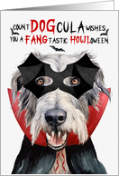 Irish Wolfhound Dog Funny Halloween DOGcula card