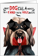 Briard Dog Funny Halloween DOGcula card