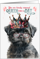 Birthday Affenpinscher Dog Funny Queen for a Day card