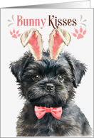 Easter Bunny Kisses Affenpinscher Dog in Bunny Ears card