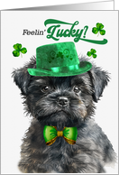 St Patrick’s Day Affenpinscher Dog Feelin’ Lucky Clovers card