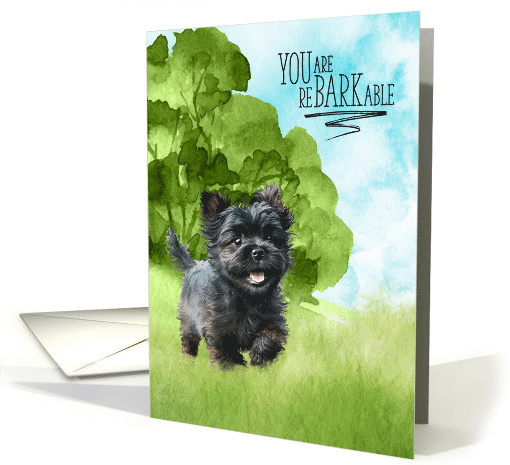 Congratulations reBARKable Affenpinscher Dog in the Country card